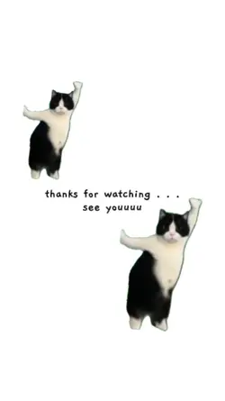 closing cat 9:16