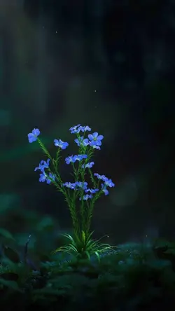 thay 2 ảnh