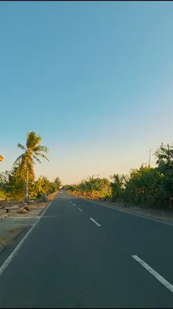 NATURE videos
