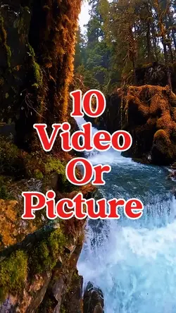 10 video or picture 