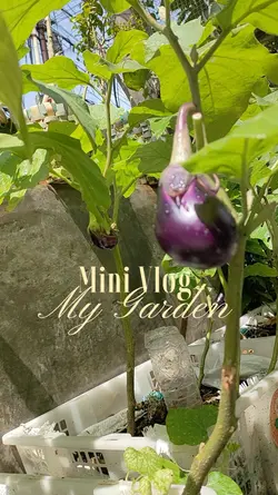 Mini Vlog My Garden