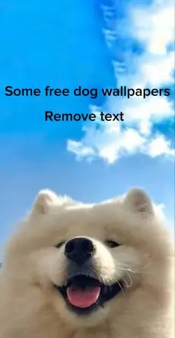Free dog wallpapers