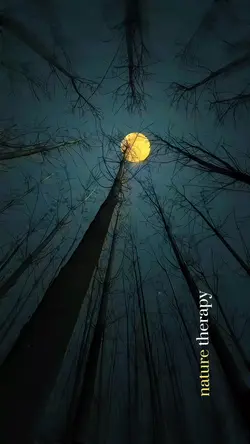 Nature Therapy❤️