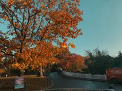 Autumn