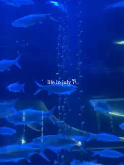life in july 