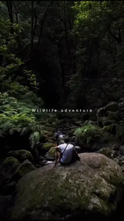wildlife adventure