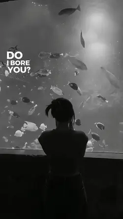 do i bore you?