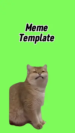 Smiling cat