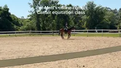For online comp