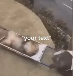 Monkey meme 😂🏥