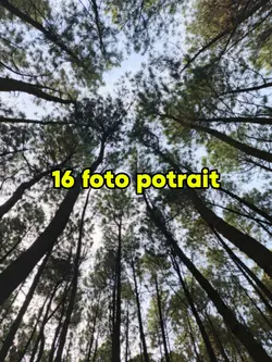 16 foto potrait