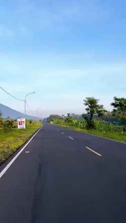 ROAD TRIP
