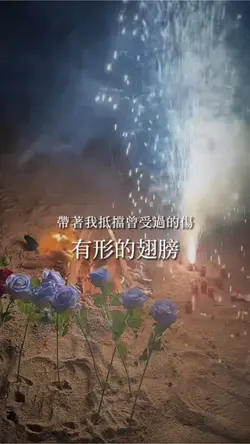 有形的翅膀 6段
