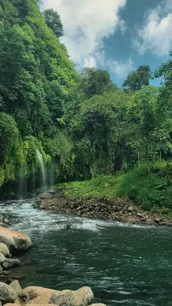 nature trip