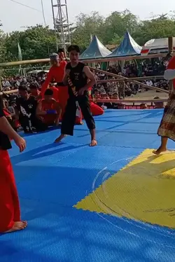 pancen nyoto