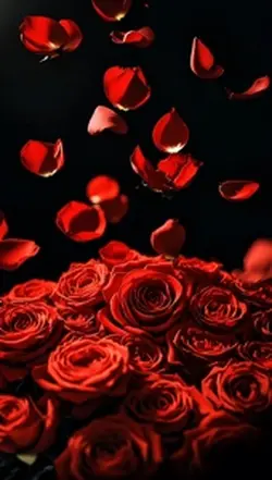 Red Rose
