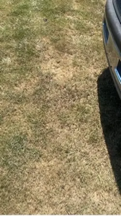 Truck overview