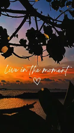 Live is beautiful 