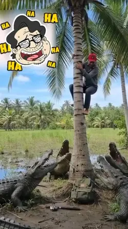 funny animal haha