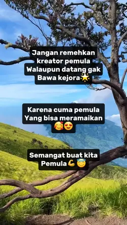 PEMULA FB PRO