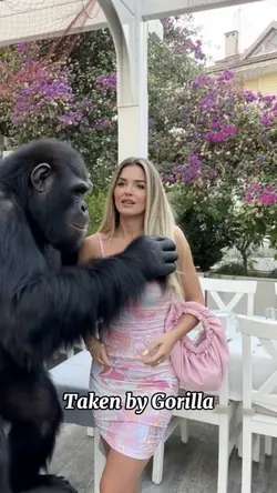 Taken by Gorilla