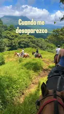 Adónde voy cuando 