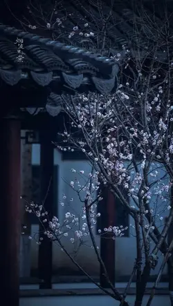 mẫu hmoob tâm trạng 