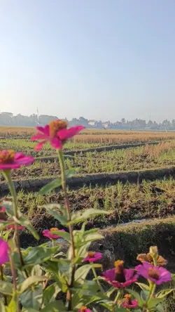 FYP  Flowers