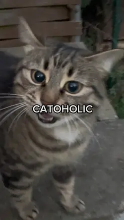 CATOHOLIC