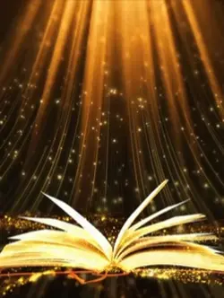The Light of Books