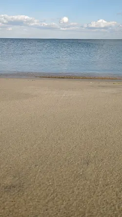 海岸