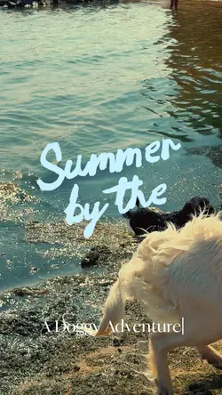 Summer by the sea 