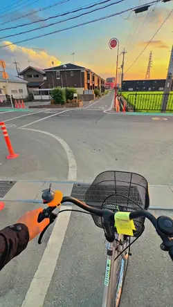 1VID FILTER JERNIH