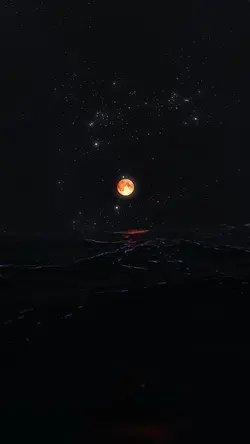 دولة الإسلام 