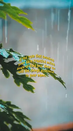 rain