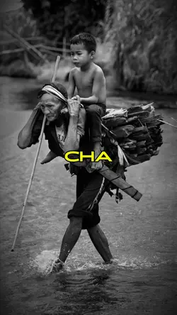 Tình cha lớn hơn
