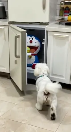 冷蔵庫の中ドラえもん😳結末は