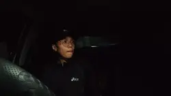 car light trend