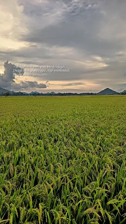 Hiduplah seperti