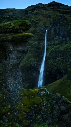 Nature amazing 