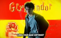 HARRY POTTER