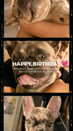 birthday my dog 