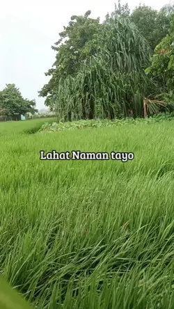 Bangon