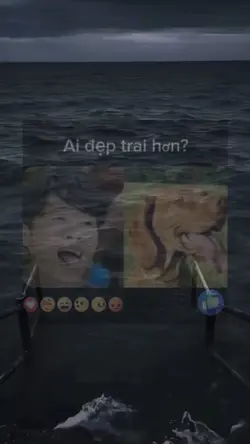 Meme sóng biển