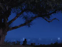 alone