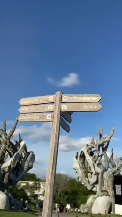 SINEMATIK 8 VIDEO 