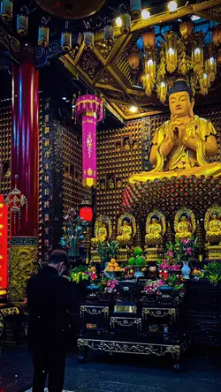 Trình chiếu màu