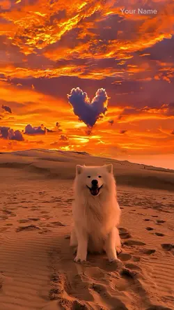 Cute dog video 