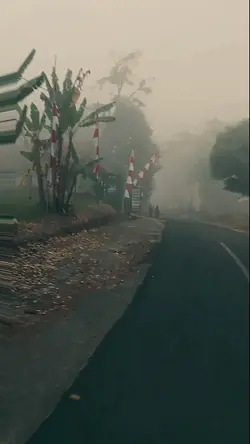 kabut 