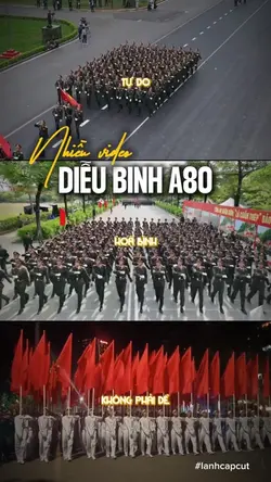 Diễu binh A80